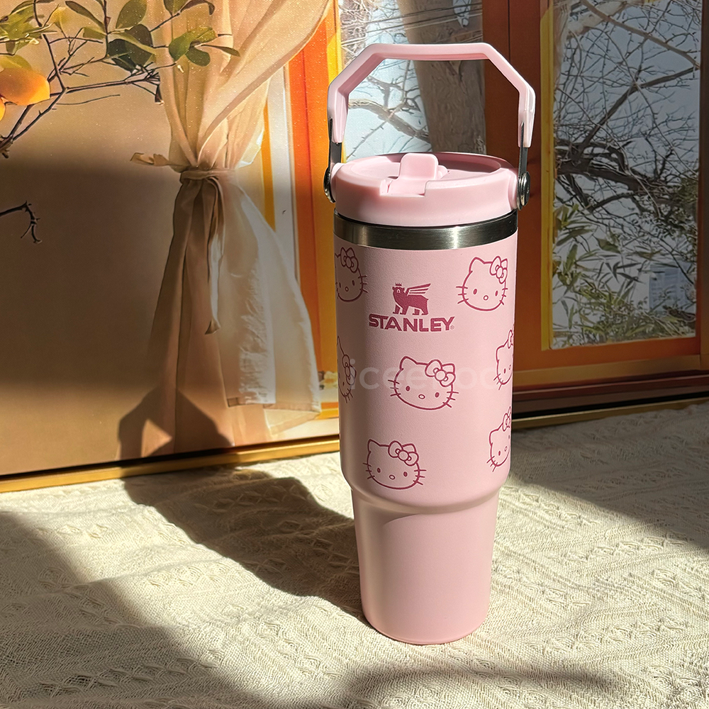 30oz Hello Kitty Stainless Steel Vacuum Insulated Tumbler